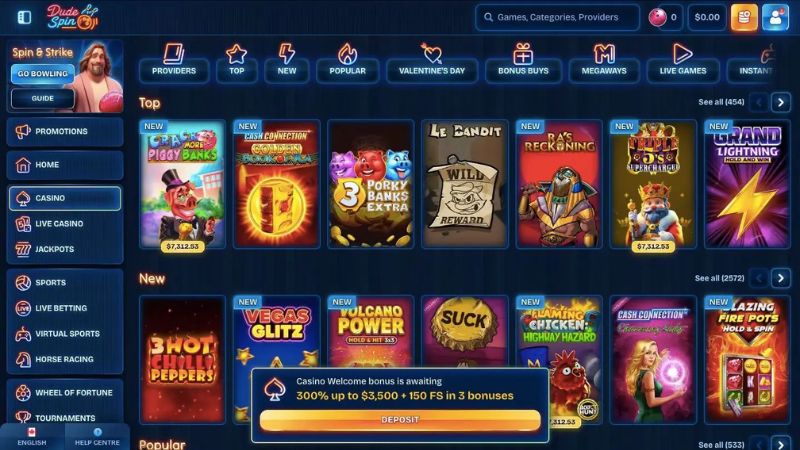 DudeSpin Casino platforma